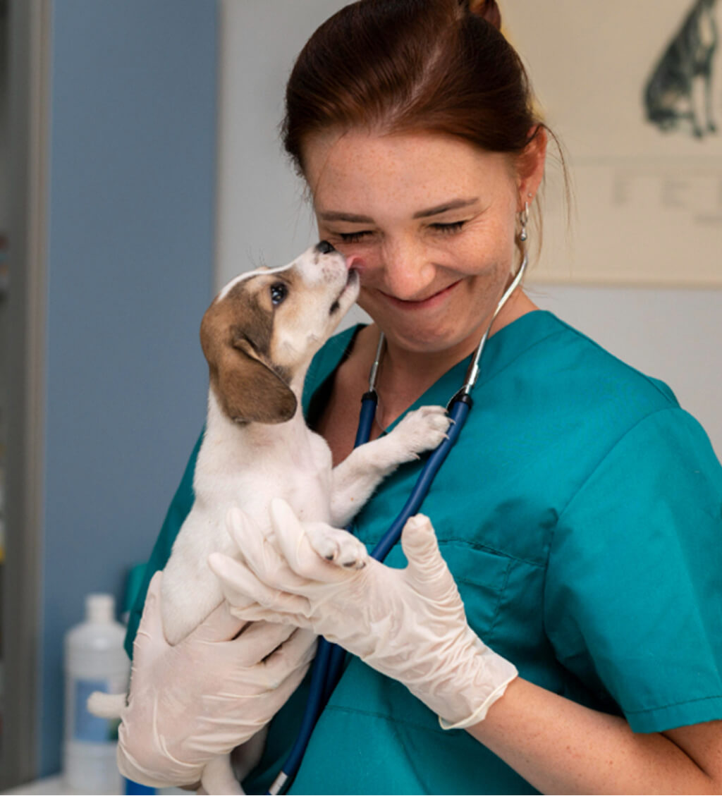 Katona Ramóna álló